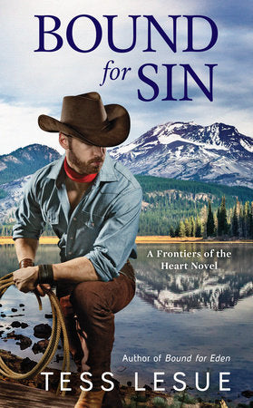 Bound for Sin Paperback by Tess LeSue