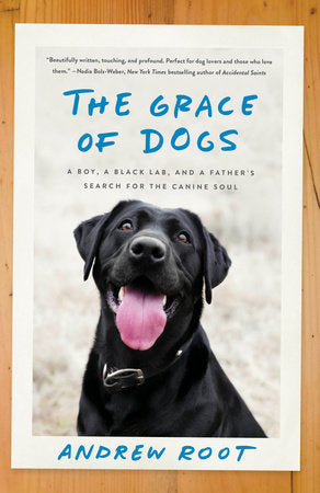The Grace of Dogs Paperback by Andrew Root