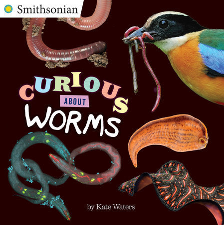 Curious About Worms Paperback by Kate Waters