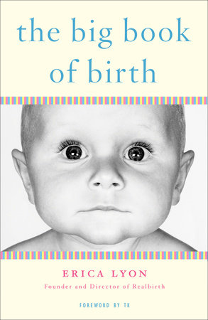 The Big Book of Birth Paperback by Erica Lyon