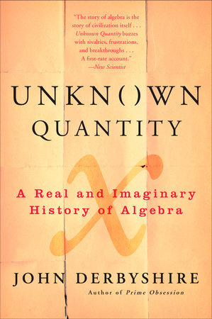 Unknown Quantity Paperback by John Derbyshire