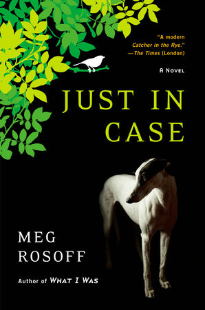 Just in Case Paperback by Meg Rosoff