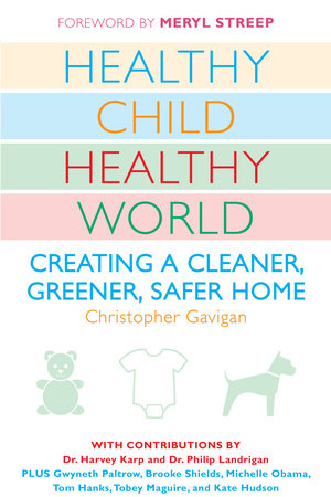 Healthy Child Healthy World Paperback by Christopher Gavigan