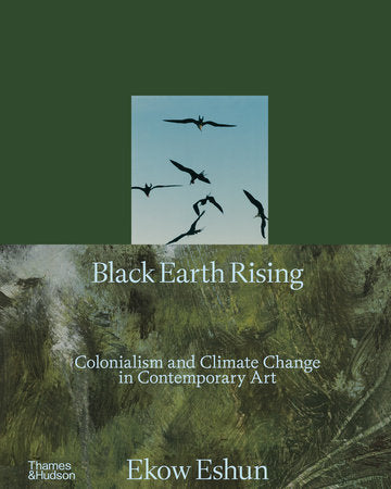 Black Earth Rising Hardcover by Ekow Eshun