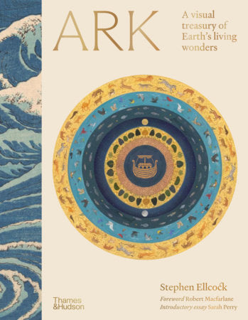 Ark Hardcover by Stephen Ellcock