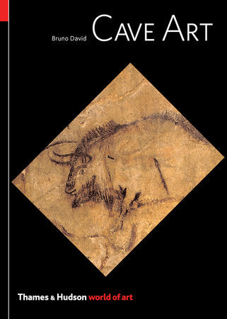 Cave Art Paperback by Bruno David
