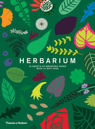 Herbarium Gift Wrap Merchandise by Caz Hildebrand