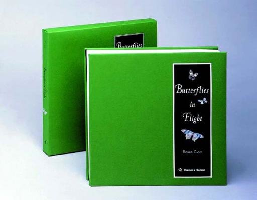 Butterflies In Flight Hardcover by Roger Camp