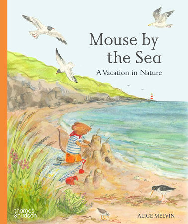 Mouse by The Sea Hardcover by Alice Melvin