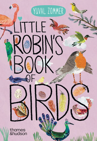 Little Robin's Book of the Birds