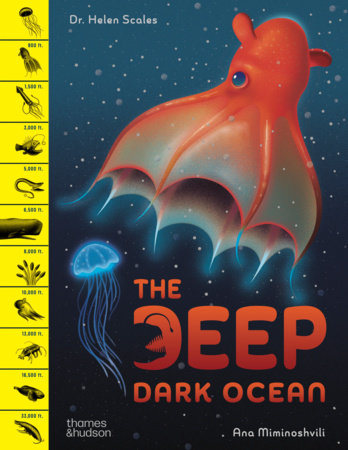 The Deep, Dark Ocean Hardcover by Helen Scales