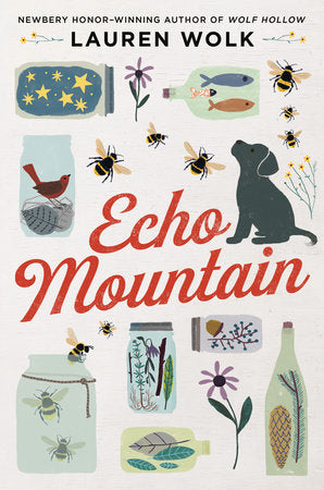 Echo Mountain DG by Lauren Wolk