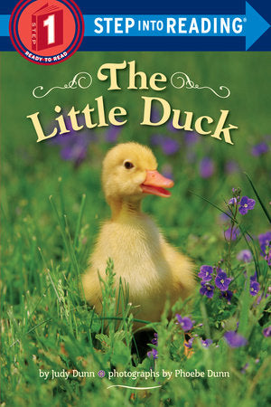 The Little Duck Paperback by Judy Dunn; photographs by Phoebe Dunn