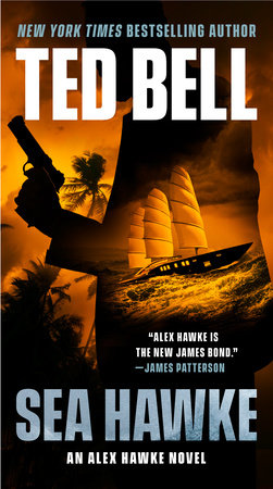 Sea Hawke Paperback by Ted Bell