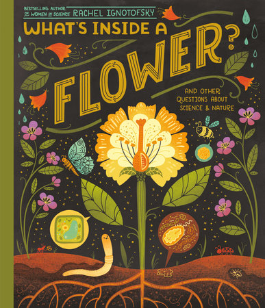 What's Inside A Flower? TR by Written and Illustrated by Rachel Ignotofsky