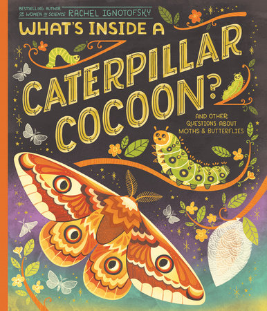 What's Inside a Caterpillar Cocoon? TR by Written and Illustrated by Rachel Ignotofsky