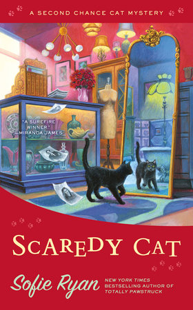 Scaredy Cat Paperback by Sofie Ryan