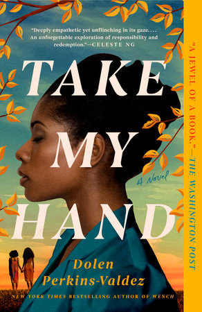 Take My Hand TR by Dolen Perkins-Valdez