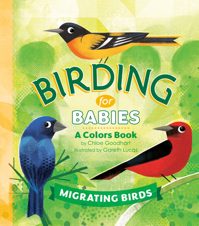 Birding for Babies: Migrating Birds EL by Chloe Goodhart; Illustrated by Gareth Lucas