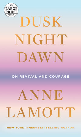Dusk, Night, Dawn TR by Anne Lamott