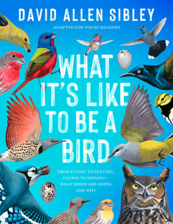 What It's Like to Be a Bird (Adapted for Young Readers) Hardcover by David Allen Sibley
