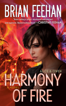 Harmony of Fire Paperback by Brian Feehan