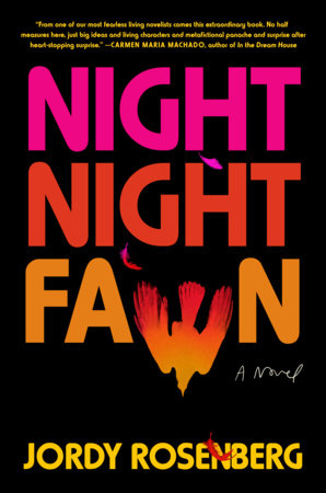 Night Night Fawn Hardcover by Jordy Rosenberg