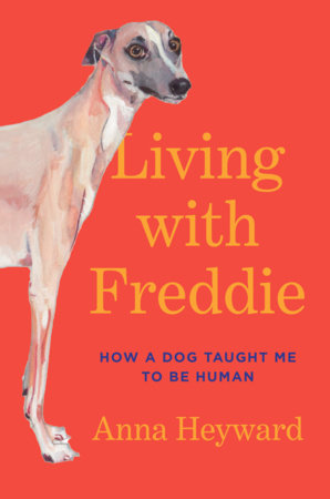 Living with Freddie Hardcover by Anna Heyward