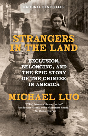 Strangers in the Land Paperback by Michael Luo