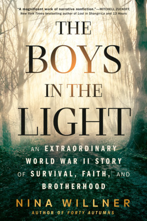 The Boys in the Light Paperback by Nina Willner