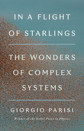 In a Flight of Starlings