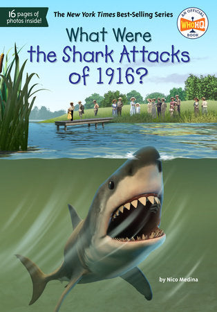 What Were the Shark Attacks of 1916? Paperback by Nico Medina; Illustrated by Tim Foley