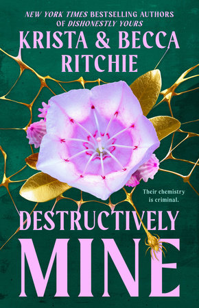 Destructively Mine Paperback by Krista and Becca Ritchie