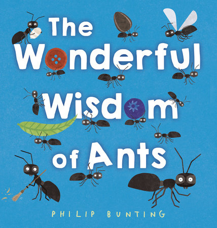 The Wonderful Wisdom of Ants Hardcover by Philip Bunting