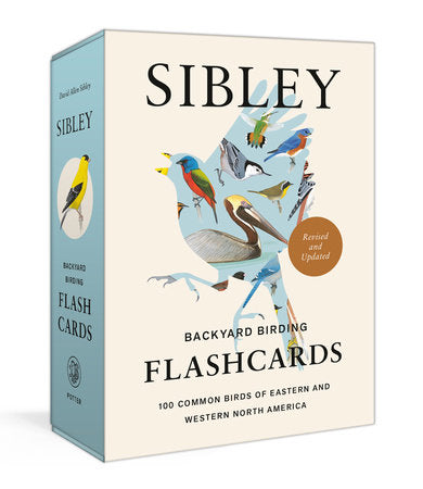 Sibley Backyard Birding Flashcards, Revised and Updated Merchandise by David Allen Sibley