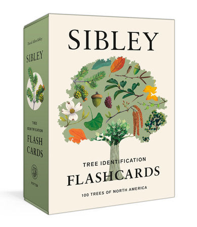 Sibley Tree Identification Flashcards Merchandise by David Allen Sibley