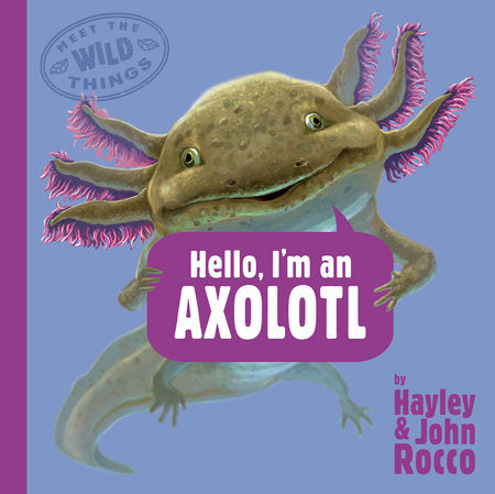 Hello, I'm an Axolotl (Meet the Wild Things, Book 4) Hardcover by Hayley Rocco; illustrated by John Rocco