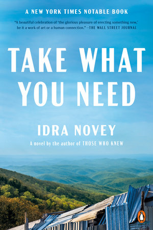 Take What You Need Paperback by Idra Novey