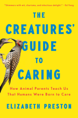 The Creatures' Guide to Caring Hardcover by Elizabeth Preston