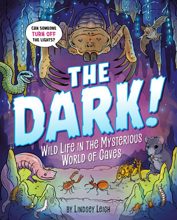 The Dark! Hardcover by Lindsey Leigh; Illustrated by Lindsey Leigh