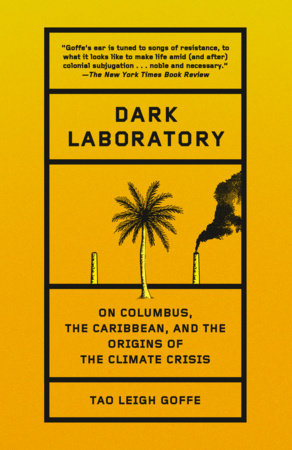 Dark Laboratory Paperback by Tao Leigh Goffe