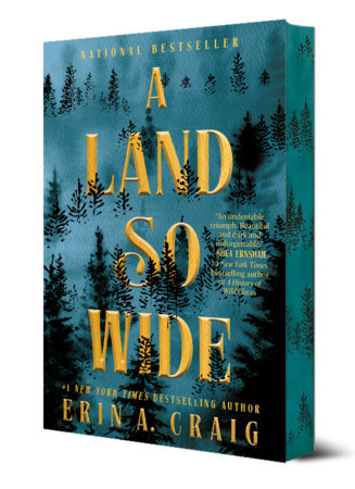 A Land So Wide Paperback by Erin A. Craig