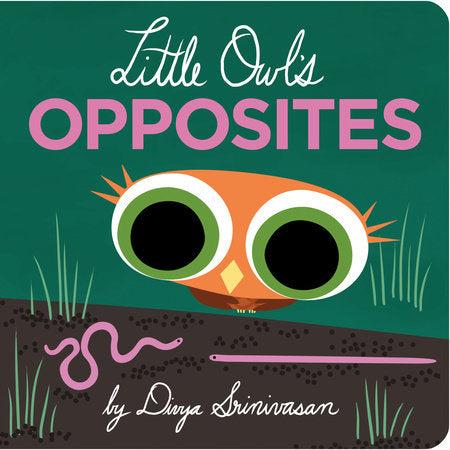 Little Owl's Opposites Board Book by Divya Srinivasan