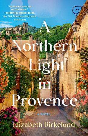 A Northern Light in Provence Paperback by Elizabeth Birkelund