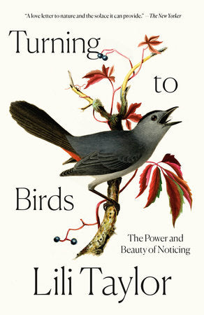 Turning to Birds Paperback by Lili Taylor