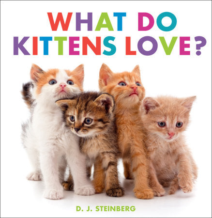 What Do Kittens Love? Board Book by D. J. Steinberg