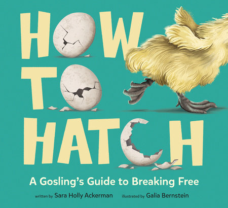 How to Hatch Hardcover by Sara Holly Ackerman; illustrated by Galia Bernstein