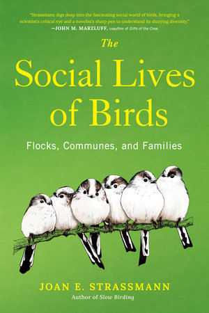 The Social Lives of Birds Hardcover by Joan E. Strassmann