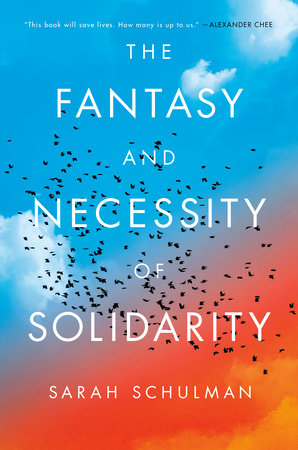 The Fantasy and Necessity of Solidarity Hardcover by Sarah Schulman
