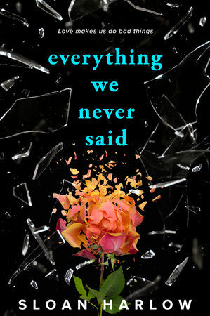 Everything We Never Said Paperback by Sloan Harlow